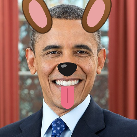 Dog filter